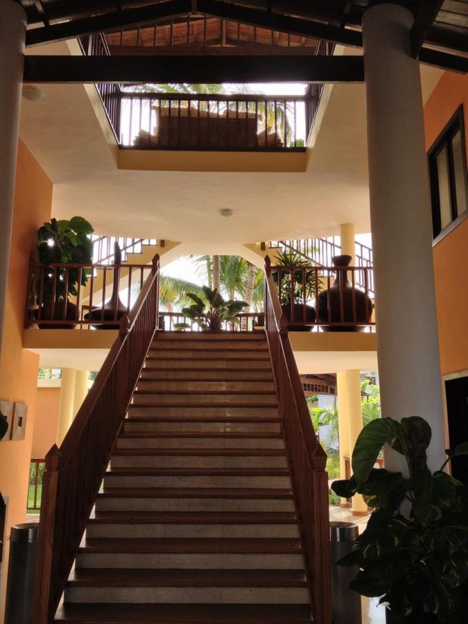 Merengue Punta Cana
